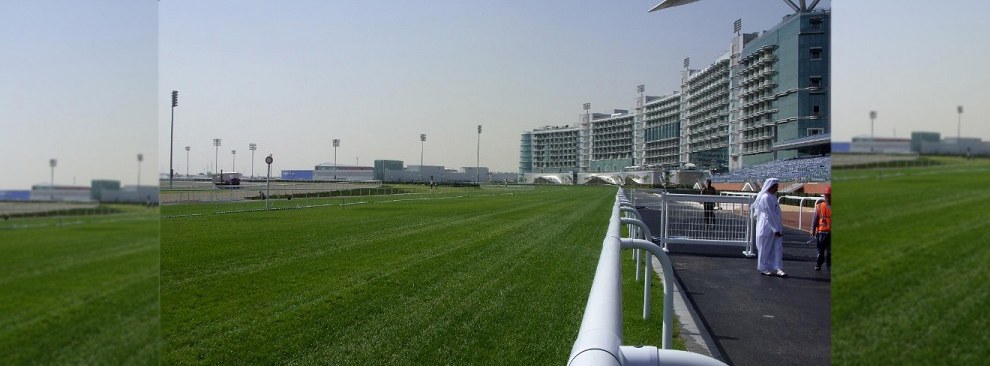 Horse & Carriage banner 4