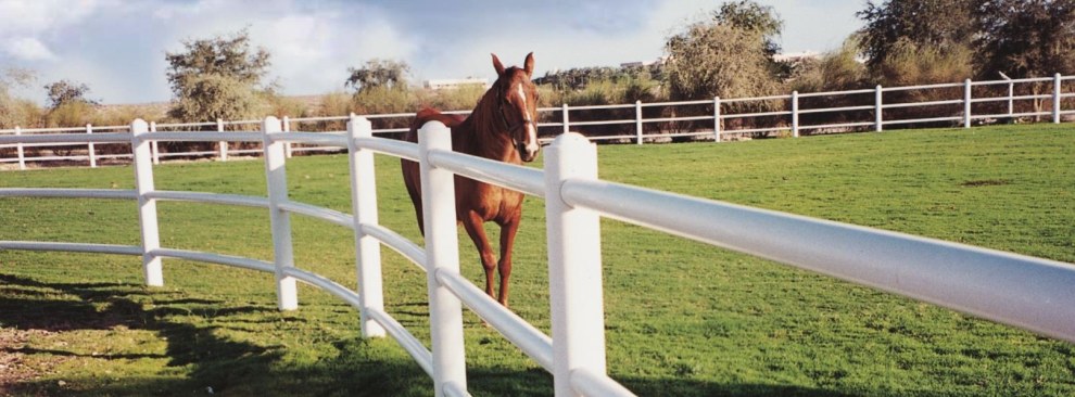 Horse & Carriage banner 7