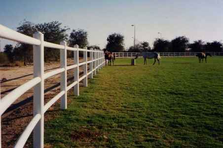 gallery img
