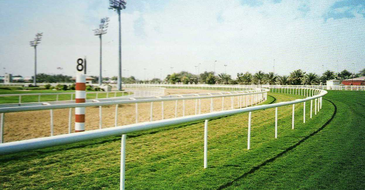 Race Railing