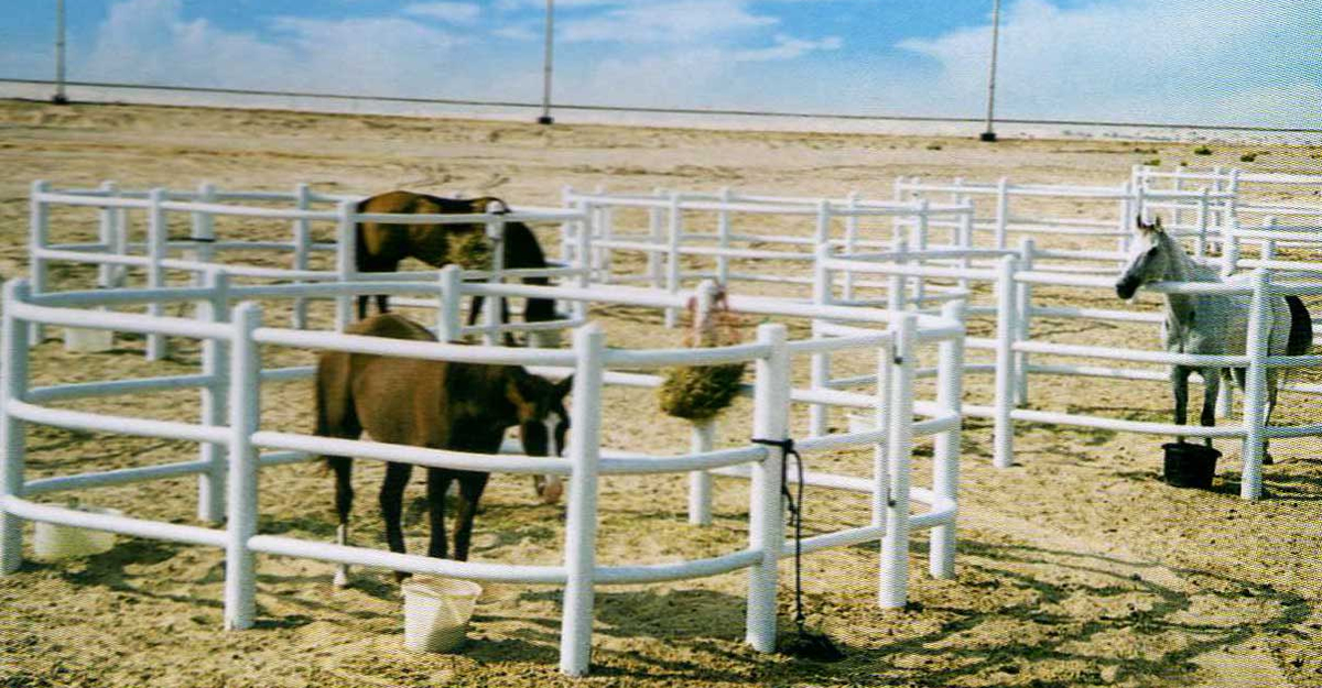 Paddock Fencing